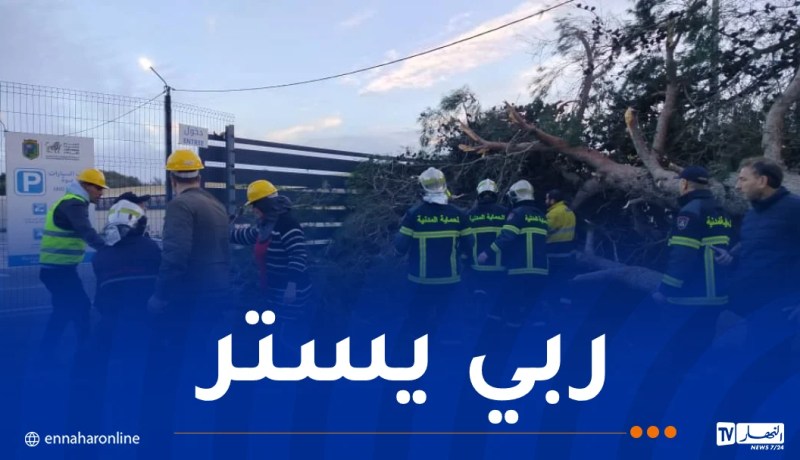 هبوب رياح قوية.. تسجيل 530 تدخلا منذ 27 جانفي