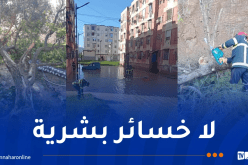 التقلبات الجوية.. تسجيل انهيارات وسقوط أشجار بعدة ولايات