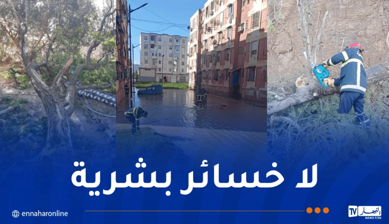 التقلبات الجوية.. تسجيل انهيارات وسقوط أشجار بعدة ولايات