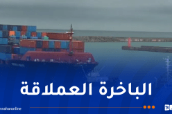 جيجل: رسو أكبر حاملة للحاويات بميناء جن جن