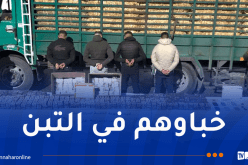 أم البواقي.. تفكيك شبكة إجرامية وحجز 117 ألف قرص مهلوس