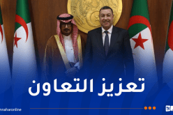 وزير الداخلية يستقبل السفير السعودي