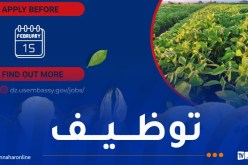 السفارة الأمريكية بالجزائر تُعلن عن توظيف