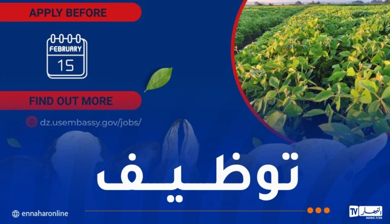 السفارة الأمريكية بالجزائر تُعلن عن توظيف