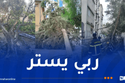 انهيارات جزئية وسقوط عشرات الأشجار والأعمدة عبر عدة ولايات