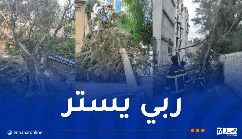 انهيارات جزئية وسقوط عشرات الأشجار والأعمدة عبر عدة ولايات