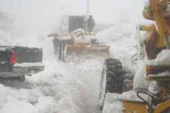 إصابة شخصين بالقبة وسقوط نخلة بباب الواد بسبب الرياح وإخراج 3 سيارات عالقة