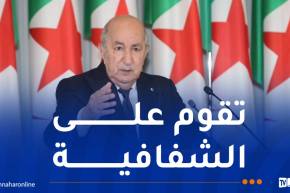 الرئيس تبون يأمر بالتدقيق في أسباب عدم استفادة بعض الشباب من منحة البطالة