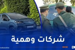 المضاربة بمركبات “فيات”.. تفكيك شبكة دولية
