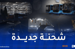ميناء جن جن .. وصول حافلات جديدة مستوردة من الصين