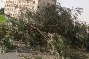 تقلبات جوية.. إصابة امرأة وطفل وتسجيل عدة حوادث بسبب الرياح
