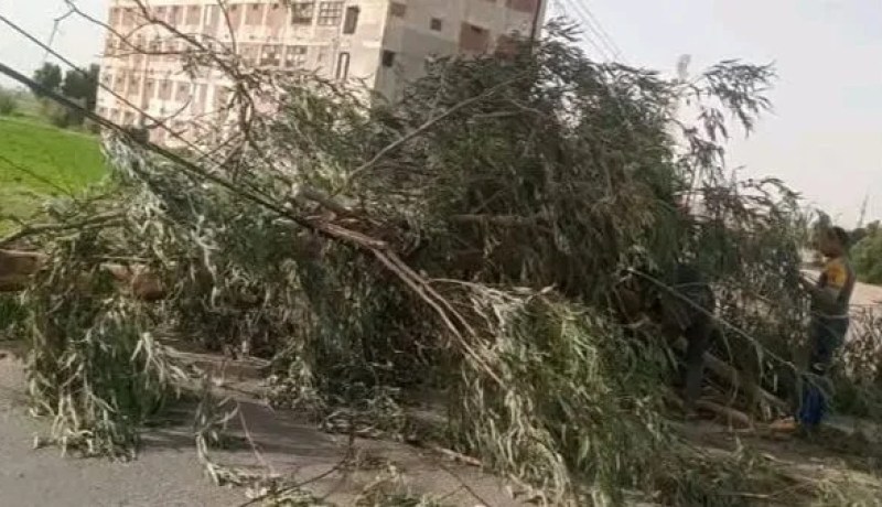 تقلبات جوية.. إصابة امرأة وطفل وتسجيل عدة حوادث بسبب الرياح