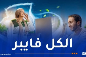 3 مليون أسرة موصولة بخدمة الألياف البصرية