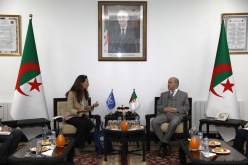 وزير العمل يبحث تدعيم التعاون مع برنامج الأمم المتحدة الإنمائي