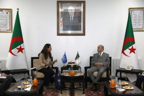 وزير العمل يبحث تدعيم التعاون مع برنامج الأمم المتحدة الإنمائي