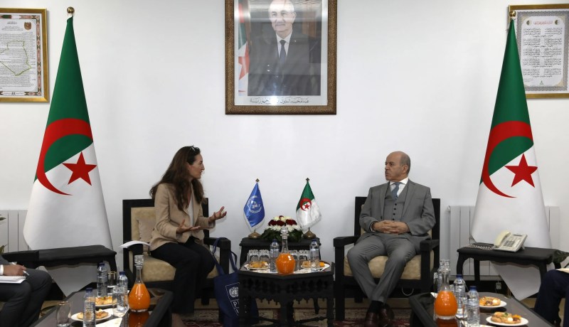 وزير العمل يبحث تدعيم التعاون مع برنامج الأمم المتحدة الإنمائي