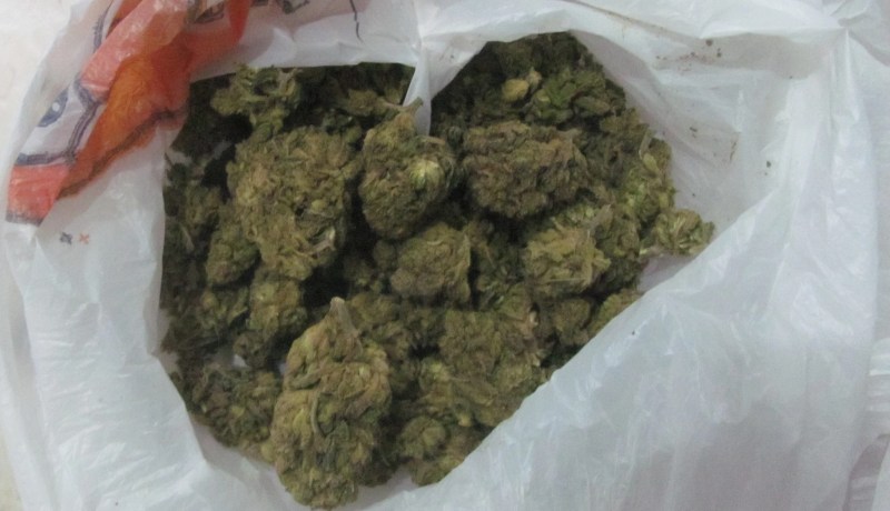 شرطة باتنة تُفشل مخطط شبكة إجرامية عابرة للحدود وتكشف خيوط تجارة مخدرات بالعملات الرقمية