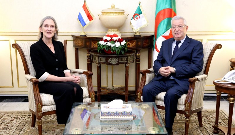 ناصري يستعرض واقع وآفاق التعاون مع سفيرة هولندا