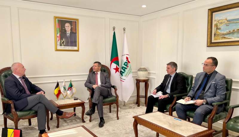 الجزائر وبلجيكا تبحثان تعزيز الاستثمارات البينية في الطاقة والفلاحة