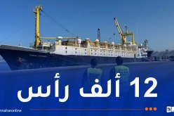 ميناء وهران..وصول كمية من الأغنام قادمة من اسبانيا