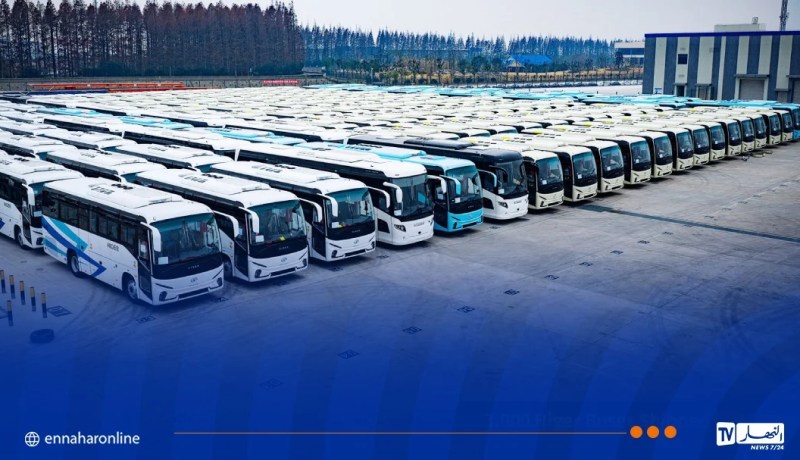 1.2 مليار إلى 1.8 مليار سنتيم سعر الحافلات المستوردة.. وسرعتها محدَّدة بـ80 كلم في الساعة