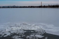 حالة طوارئ في واشنطن