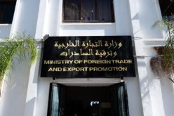 تجارة خارجية.. هذا هو آخر أجل لإيداع البرامج التقديرية للاستيراد