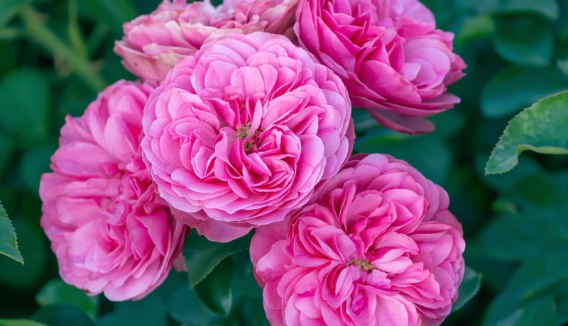 كلمة من القلب..