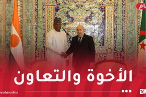 رئيس الجمهورية يُجري محادثات ثنائية مع نظيره النيجري