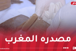 سيدي بلعباس: الإطاحة بشبكة إجرامية وحجز 43 كلغ كيف معالج