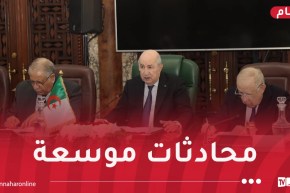 رئيس الجمهورية يُشرف رفقة نظيره النيجري على محادثات موسعة