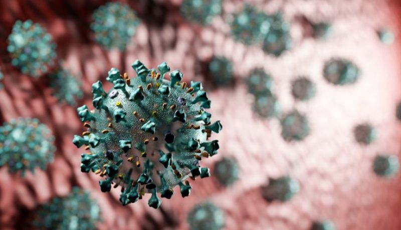 بعد كورونا.. عدوى أكثر فتكا تصيب الهند