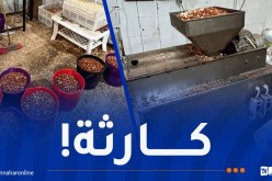 تلمسان: إكتشاف ورشة سرية وحجز 20 قنطارا من “الكاوكاو”
