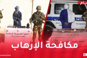 إرهابيان يسلمان نفسيهما للسلطات العسكرية بكل من برج باجي مختار وإن قزام