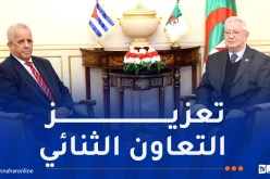 ناصري يستقبل سفير جمهورية كوبا بالجزائر