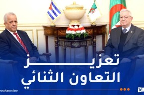ناصري يستقبل سفير جمهورية كوبا بالجزائر