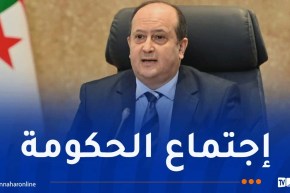 علف جديد للأغنام واستيراد الحافلات.. ملفات هامة على طاولة الوزير الأول