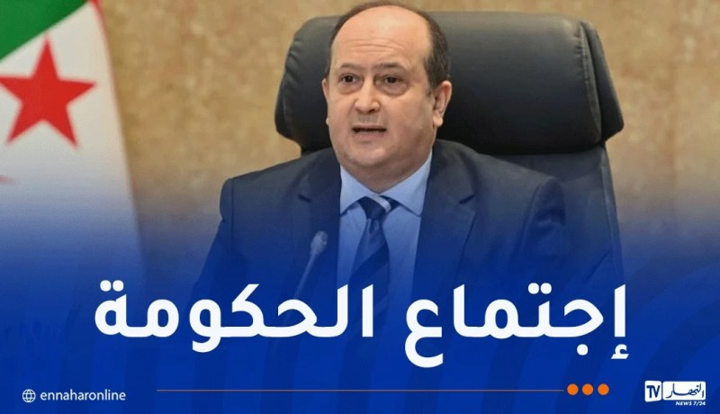 علف جديد للأغنام واستيراد الحافلات.. ملفات هامة على طاولة الوزير الأول
