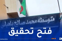 وزارة  التربية توفد لجنة تفتيش إلى متوسطة محمد الصالح بلعباس بسطيف