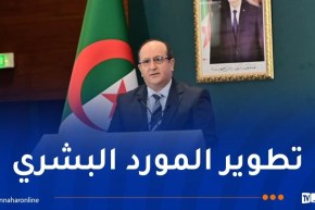 الوزير الأول: الشباب في الجزائر هو محرك حقيقي للتنمية