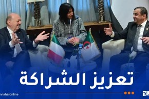 عرقاب يبحث سبل التعاون الطاقوي مع وزير البيئة وأمن الطاقة الإيطالي