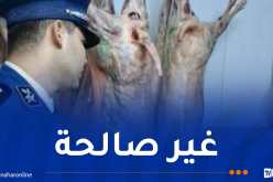 تزامنا ورمضان.. ضبط قرابة 6 قناطير من اللحوم الفاسدة بوهران