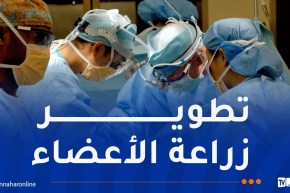 الإنطلاق في عمليات زراعة القلب بالجزائر هذه السنة