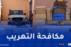 توقيف 26 تاجر مخدرات وإحباط إدخال 11 قنطارا من “الكيف” و2 مليون قرص مهلوس