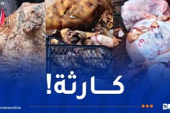 حجز أكثر من 13 قنطار لحوم فاسدة بسوق قصاب في البليدة
