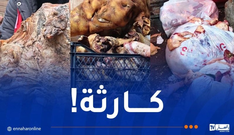 حجز أكثر من 13 قنطار لحوم فاسدة بسوق قصاب في البليدة