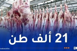 إستيراد 144 ألف رأس من الغنم و46 ألف رأس من البقر تحسبا لرمضان