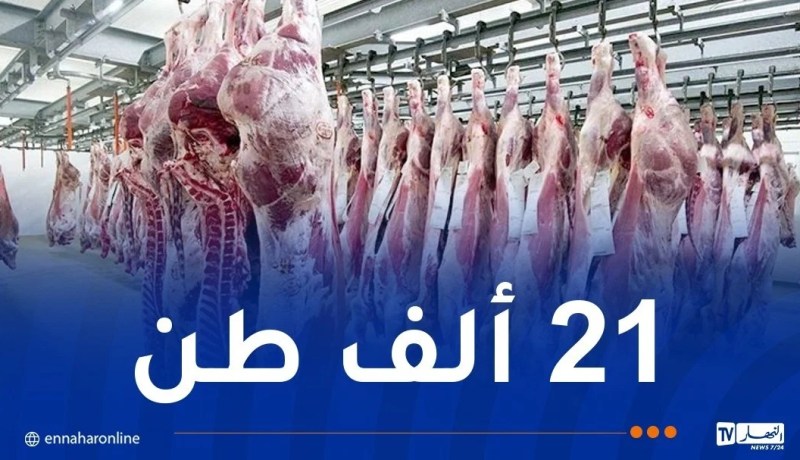 إستيراد 144 ألف رأس من الغنم و46 ألف رأس من البقر تحسبا لرمضان