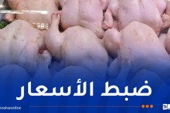 إخراج 2000 طن كمرحلة أولى.. 8 آلاف طن من الدجاج مخزنة تحسبا لرمضان
