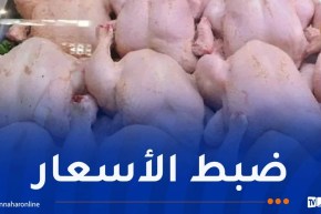 إخراج 2000 طن كمرحلة أولى.. 8 آلاف طن من الدجاج مخزنة تحسبا لرمضان